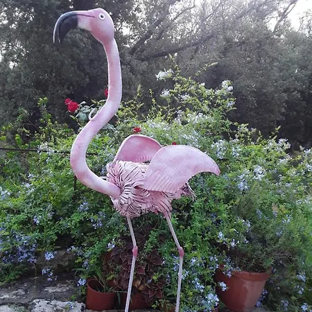 Holiday home Antica Riserva Dei Daini *
