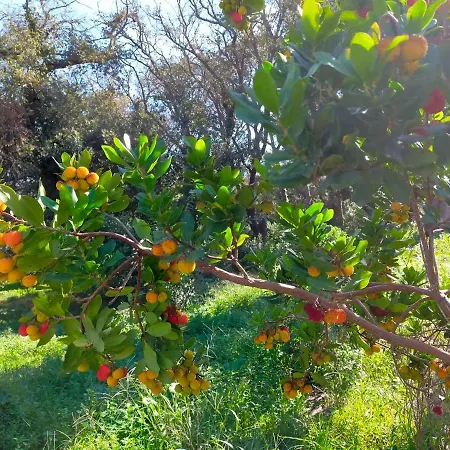 Antica Riserva Dei Daini Holiday home *